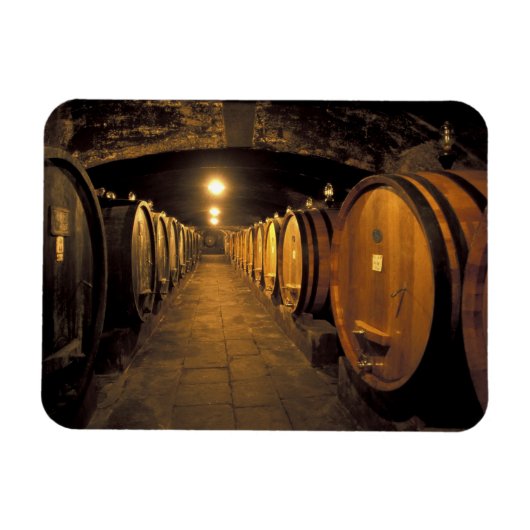 Europa, Italië, Toscana. Chianti-cellars Magneet (Horizontaal)