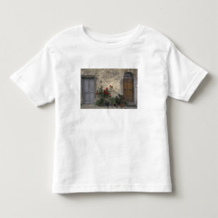 Europa, Italië, Toscane, Chianti, Toscaanse deur; Kinder Shirts