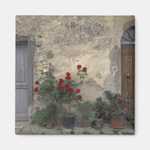 Europa, Italië, Toscane, Chianti, Toscaanse deuro Magneet