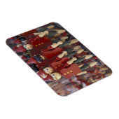 Europa, Italië, Toscane, Collodi Magneet (Rechterzijde)