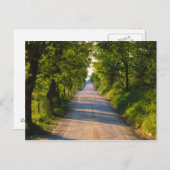 Europa, Italië, Toscane, met bomen bedekte weg Briefkaart (Voorkant / Achterkant)