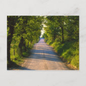 Europa, Italië, Toscane, met bomen bedekte weg Briefkaart (Voorkant)