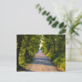 Europa, Italië, Toscane, met bomen bedekte weg Briefkaart (Staand voorkant)