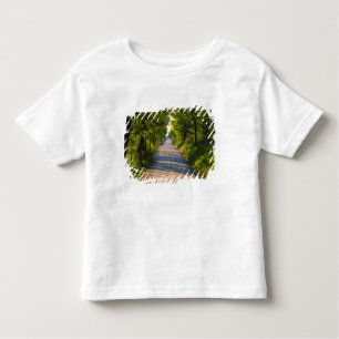 Europa, Italië, Toscane, met bomen bedekte weg Kinder Shirts