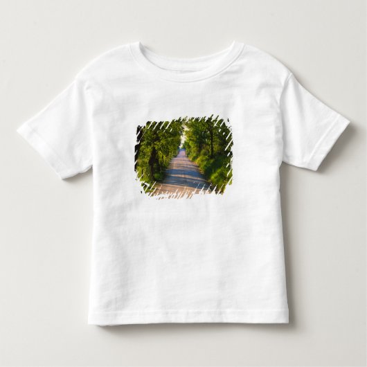 Europa, Italië, Toscane, met bomen bedekte weg Kinder Shirts (Voorkant)