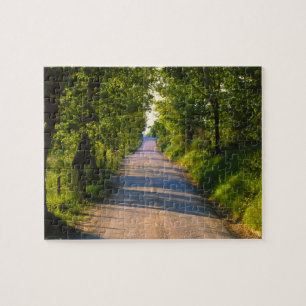 Europa, Italië, Toscane, met bomen omzoomde weg Legpuzzel