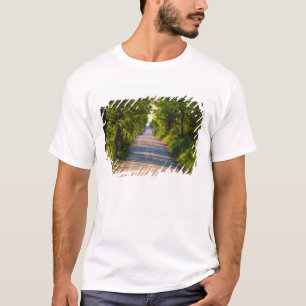 Europa, Italië, Toscane, met bomen omzoomde weg T-shirt