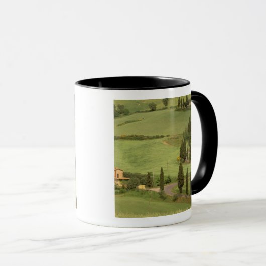 Europa, Italië, Toscane, Monticchiello. Curvy Mok (Voorkant rechts)