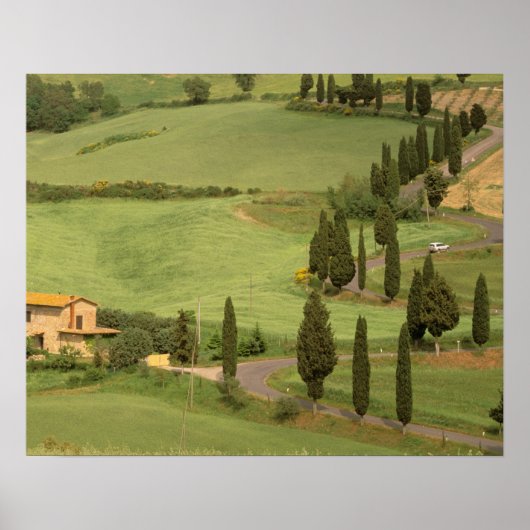 Europa, Italië, Toscane, Monticchiello. Curvy Poster (Voorkant)