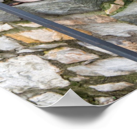 Europa, Italië, Toscane Poster (Hoek)