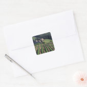 Europa, Italië, Toscane. Schilderachtig villa cypr Vierkante Sticker (Envelop)