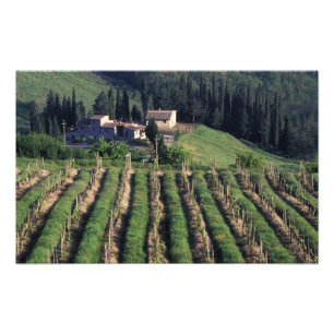 Europa, Italië, Toscane. Schitterende villa cyprus Foto Afdruk