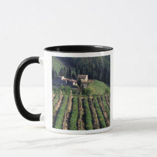 Europa, Italië, Toscane. Schitterende villa cyprus Mok