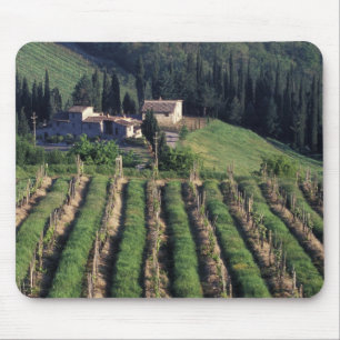 Europa, Italië, Toscane. Schitterende villa cyprus Muismat