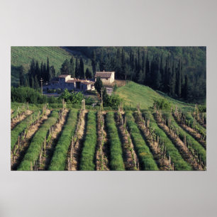 Europa, Italië, Toscane. Schitterende villa cyprus Poster