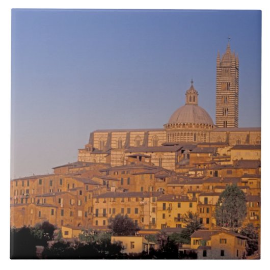 Europa, Italië, Toscane, Siena. 13e eeuw 3 Tegeltje (Voorkant)