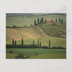 Europa, Italië, Toscane, Val d' Orcia, Toscaans Briefkaart