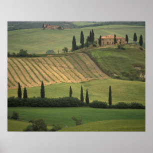 Europa, Italië, Toscane, Val d' Orcia, Toscaans Poster