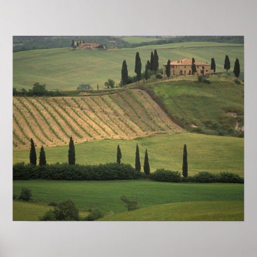 Europa, Italië, Toscane, Val d' Orcia, Toscaans Poster (Voorkant)