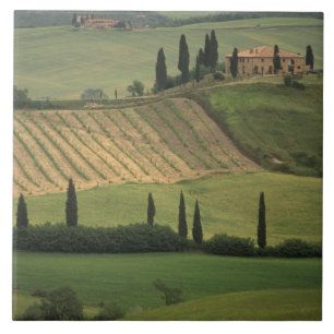 Europa, Italië, Toscane, Val d' Orcia, Toscaans Tegeltje