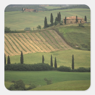 Europa, Italië, Toscane, Val d' Orcia, Toscaans Vierkante Sticker