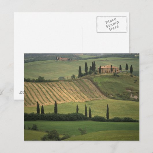 Europa, Italië, Toscane, Val d' Orcia, Toscane Briefkaart (Voorkant / Achterkant)