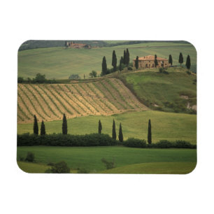 Europa, Italië, Toscane, Val d' Orcia, Toscane Magneet
