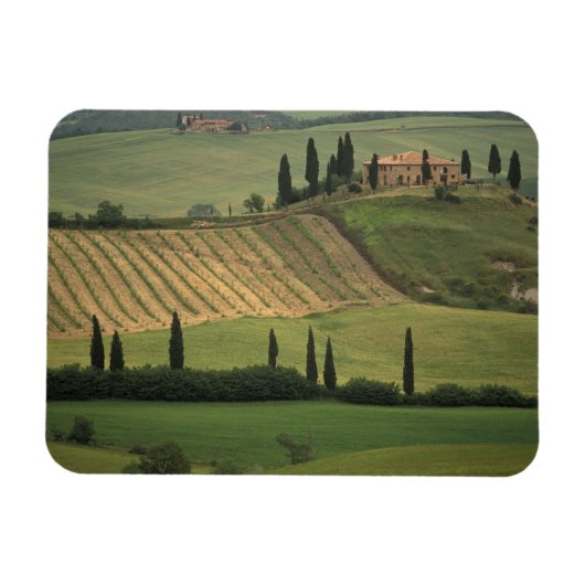 Europa, Italië, Toscane, Val d' Orcia, Toscane Magneet (Horizontaal)