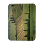 Europa, Italië, Toscane, Val d' Orcia, Toscane Magneet (Verticaal)