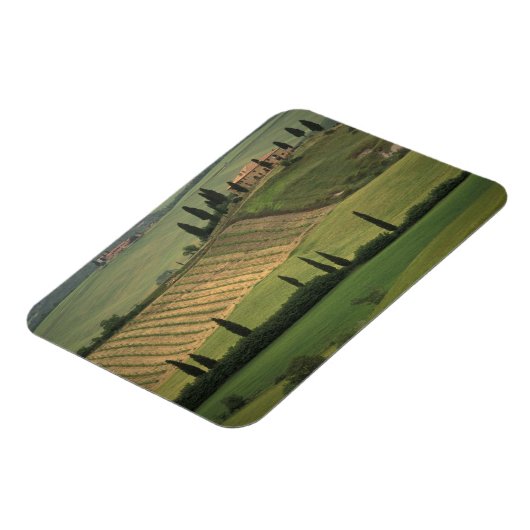 Europa, Italië, Toscane, Val d' Orcia, Toscane Magneet (Linkerzijde)