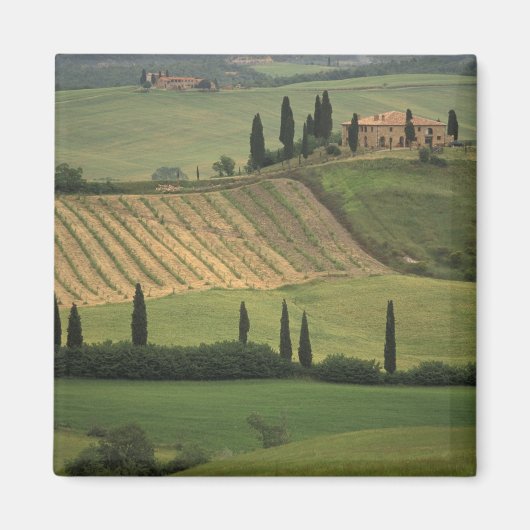 Europa, Italië, Toscane, Val d' Orcia, Toscane Magneet (Voorkant)