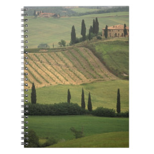 Europa, Italië, Toscane, Val d' Orcia, Toscane Notitieboek