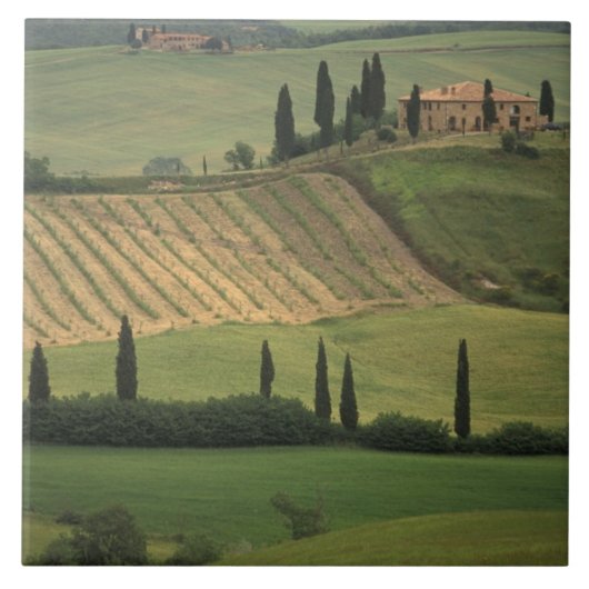 Europa, Italië, Toscane, Val d' Orcia, Toscane Tegeltje (Voorkant)