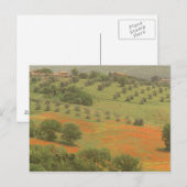 Europa, Italië, Toscane, Val D'Orcia, Monte Briefkaart (Voorkant / Achterkant)