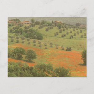 Europa, Italië, Toscane, Val D'Orcia, Monte Briefkaart
