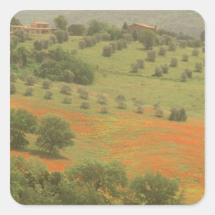 Europa, Italië, Toscane, Val D'Orcia, Monte Vierkante Sticker