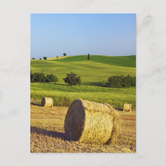 Europa, Italië, Toscane, Val d'Orcia, Pienza - Briefkaart (Voorkant)