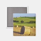 Europa, Italië, Toscane, Val d'Orcia, Pienza - Magneet (Voorkant / Achterkant)