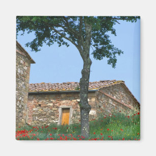 Europa, Italië, Toscane, verlaten villa in Magneet