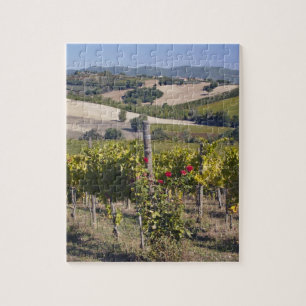 Europa, Italië, Umbrië, nabij Montefalco, Wijngaar Legpuzzel