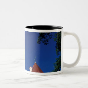 Europa, Konopiste Kasteel, Tsjechië, standbeeld Tweekleurige Koffiemok