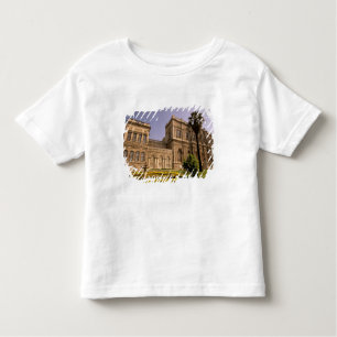 Europa, Midden-Oosten, Istanboel. De Bosphorus, Kinder Shirts