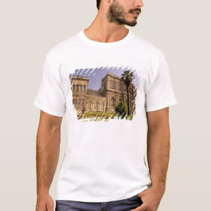 Europa, Midden-Oosten, Istanbul. De Bosporus, T-shirt