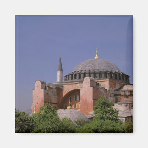 Europa, Midden-Oosten, Turkije, Istanbul. Aya Magneet