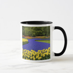 Europa, Nederland, Holland, Lisse, Keukenhof Mok