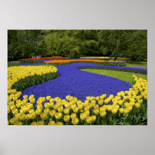 Europa, Nederland, Holland, Lisse, Keukenhof Poster