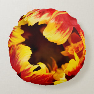 Europa, Nederland, Lisse. Papegaai tulp Rond Kussen