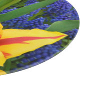 Europa, Nederland, Lisse. Tulpen Snijplank (Hoek)