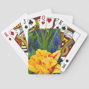 Europa, Nederland, Lisse. Tulpen Speelkaarten