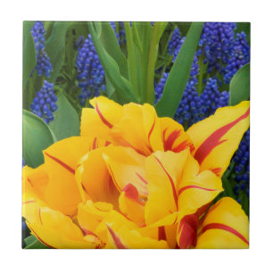 Europa, Nederland, Lisse. Tulpen Tegeltje